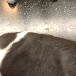 Meet your Posher, Eden